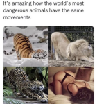 1729715595610.png