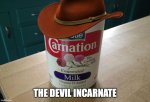 Devil Incarnation.jpg