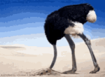 1732406309373.png